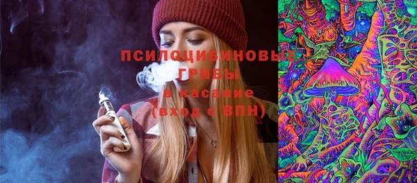 гашик Кукмор