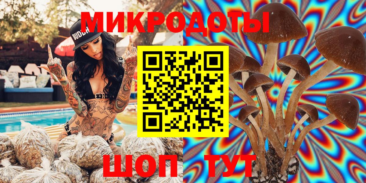 Псилоцибиновые грибы Psilocybine cubensis Нижнекамск