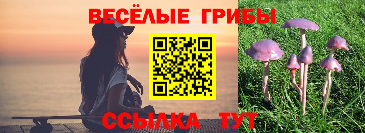 Галлюциногенные грибы ЛСД  где продают   Нижнекамск 