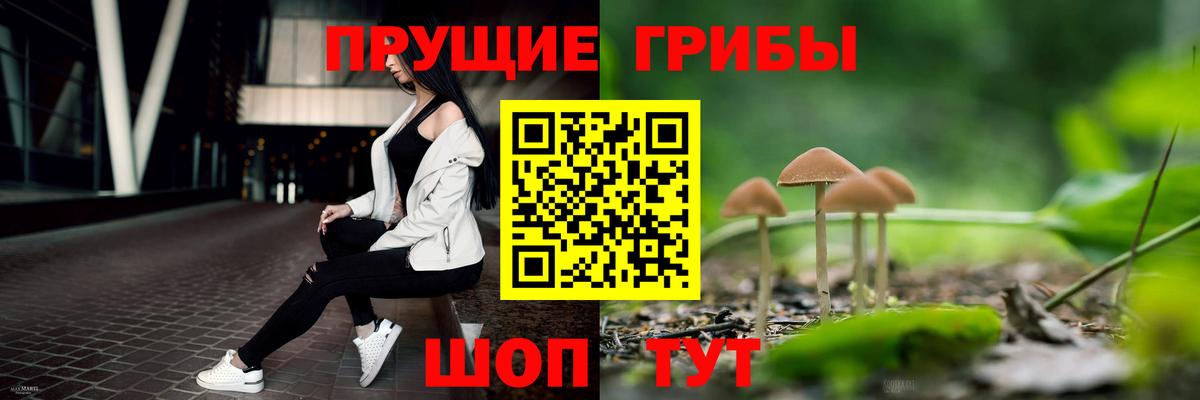 Псилоцибиновые грибы Cubensis  Галлюциногенные грибы Psilocybe  Вход с VPN  Нижнекамск 